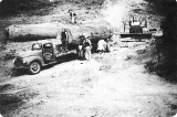 Transporting Large Kauri Logs